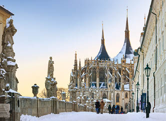 ST EDN  ECHY - ZIMA 2021 - POLOTOVARY k v b ru - fin ln  fotografie budou kvalitn j  !