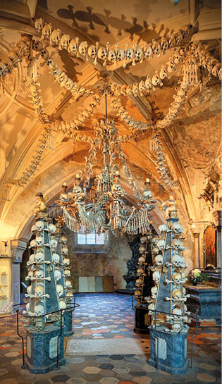 Tel - Libor Sv  ek, v stava MCU 2017 Photographer: Libor Svacek; box@fotosvacek.cz; Mobile: +420 602428001; 