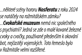 ...n kter sc ny hororu Nosferatu z roku 2024 se nat  ely na ro mit lsk m z mku? ...Cvoka sk  muzeum nem  nic spole n...